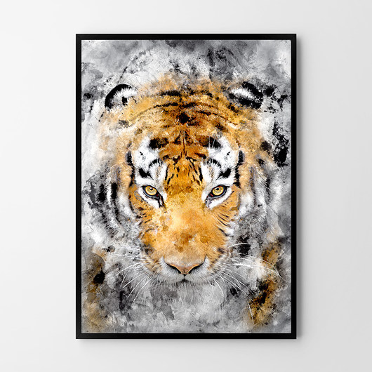 Plakat Tygrys 50x70 cm B2 HOG STUDIO