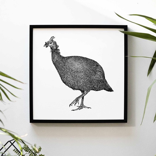 grafiki i ilustracje Perliczka - ptak
