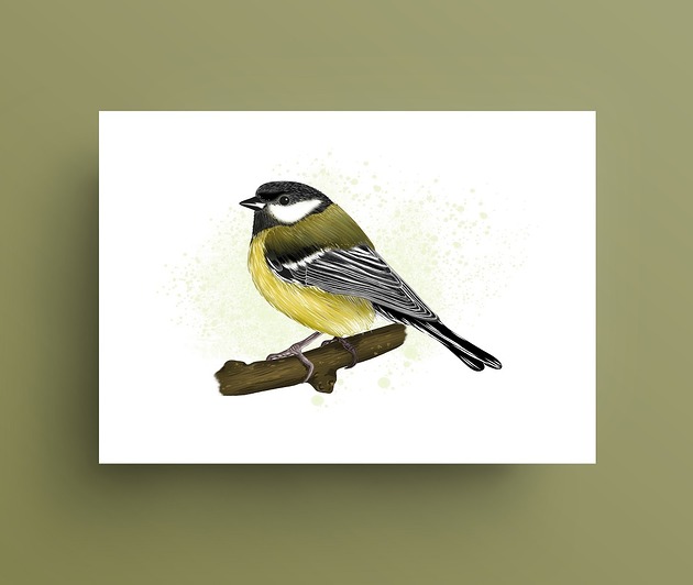 grafiki i ilustracje Sikorka bogatka