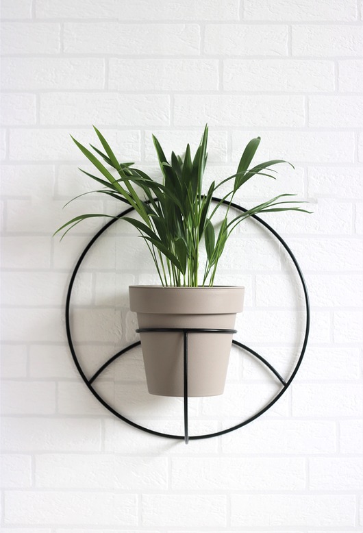 kwietniki KWIETNIK NAŚCIENNY GEO No3