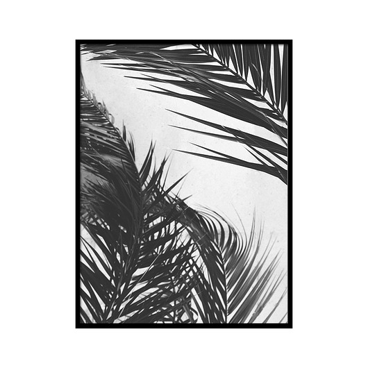 Plakat - Mono palm 40x50 lemonducky