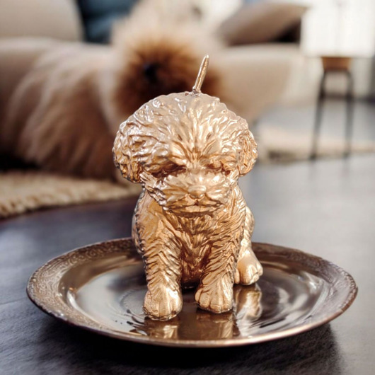 świeczniki i świece Złota świeca pies - uzdrawianie zwierząt