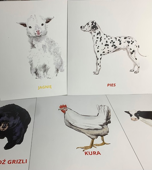 książeczki dla dzieci Zestaw czarno-białych ilustracji zwierząt