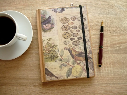 Notes Notatnik Pamiętnik - w linie Not Only Paper