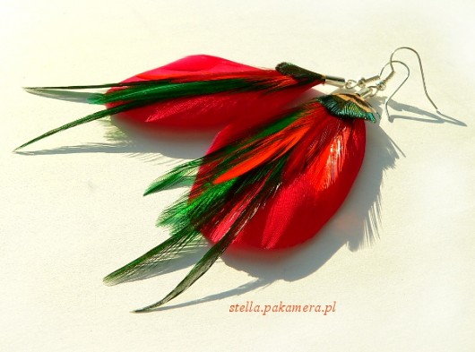 poziomki Stella