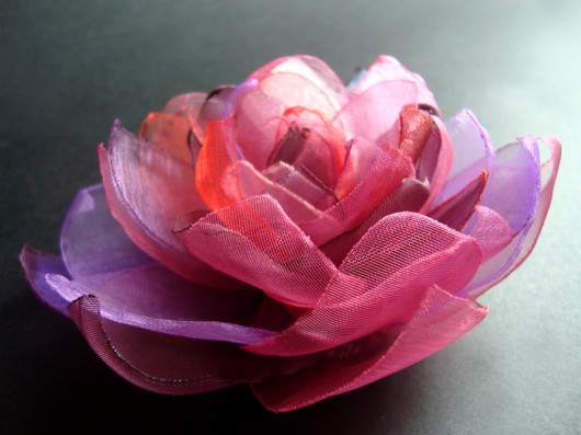soczysta langroda _ wyprzedaż SundayRose