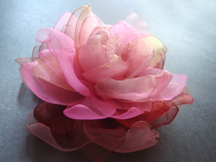 SOCZYSTA LANGRODA SundayRose
