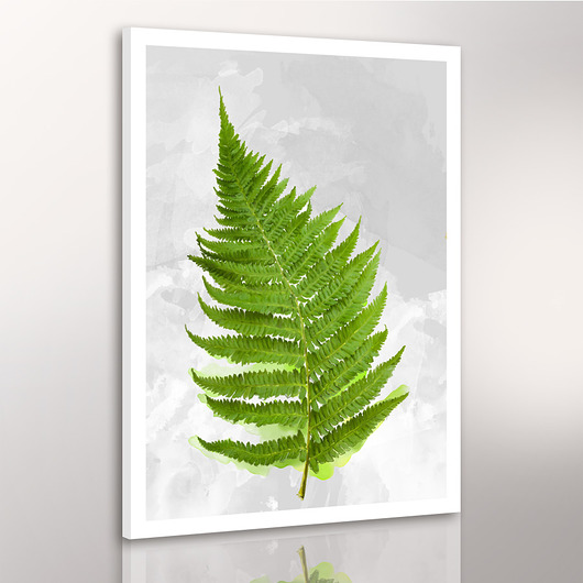 OBRAZ NA PŁÓTNIE - 50X70 PAPROTKA NOWdeco