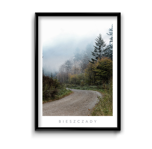 Plakat Bieszczady #2  Bury Lis