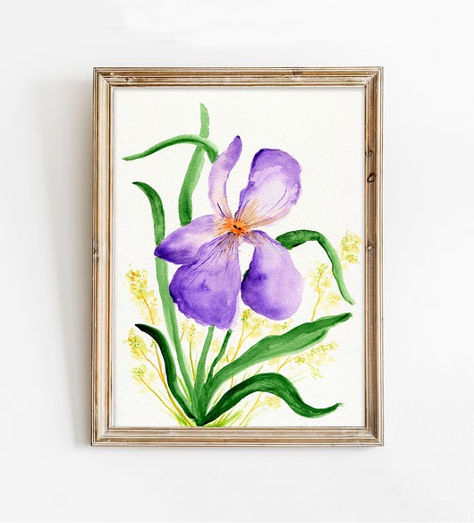 obrazy Sale! Oryginalna akwarela. Irys A4