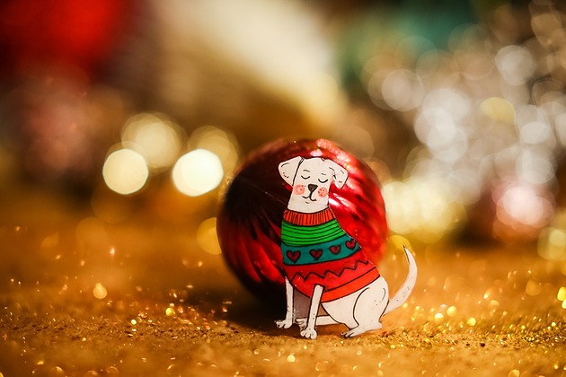 broszki Broszka z Labradorem Biszkoptem