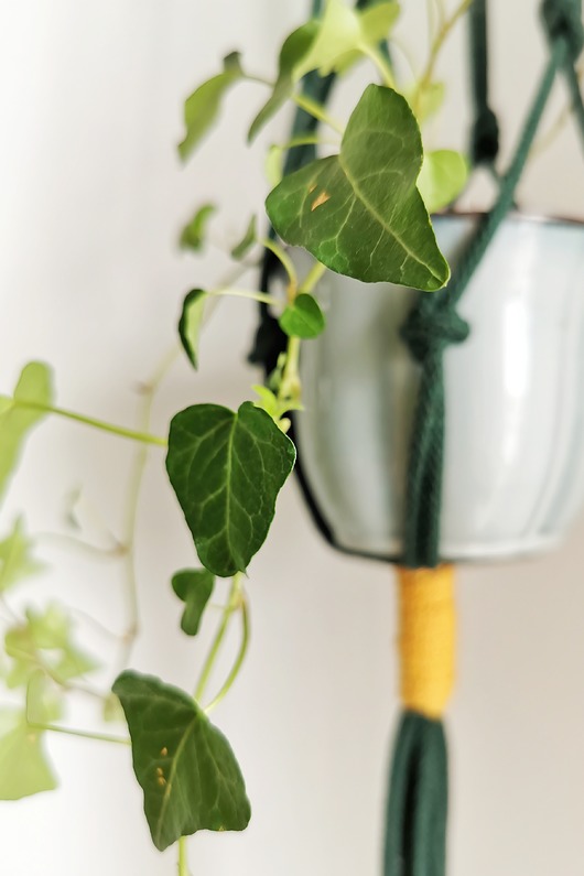 Makramowy wiszący kwietnik minimalistyczny Hygge Macrame