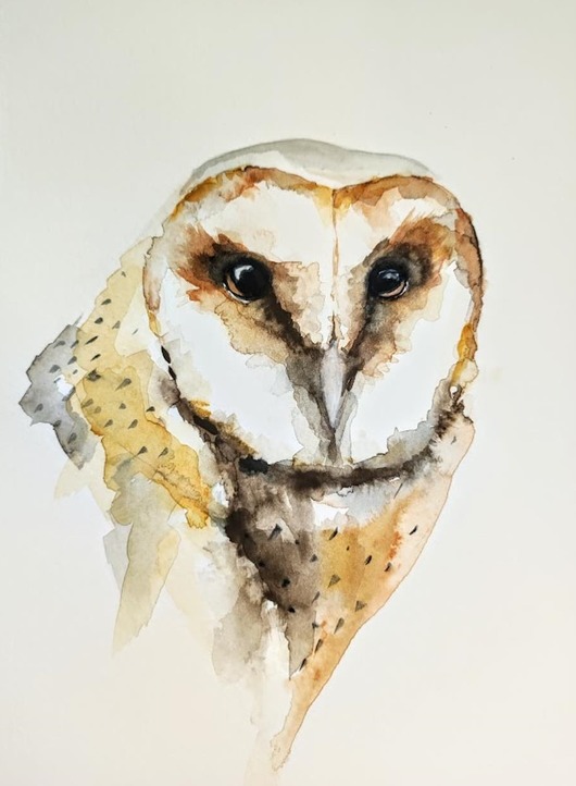 Akwarela Sowa płomykówka Wiktoria Borys Art
