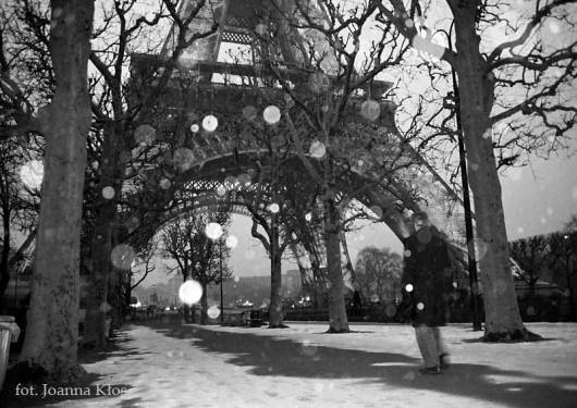 Zoom sur Paris Chilli Art