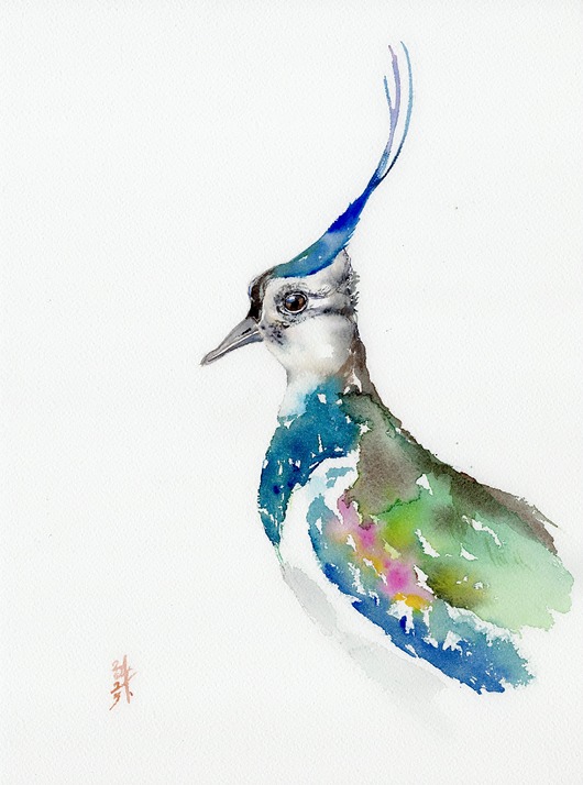 obrazy Oryginalna akwarela. Czajka