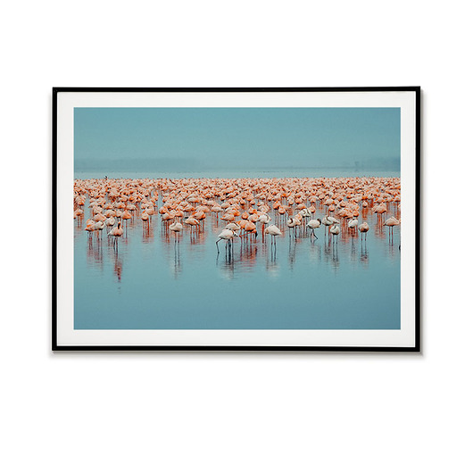Plakat FLAMINGI - Poziomy obraz z ptakami Bajkowe Obrazki