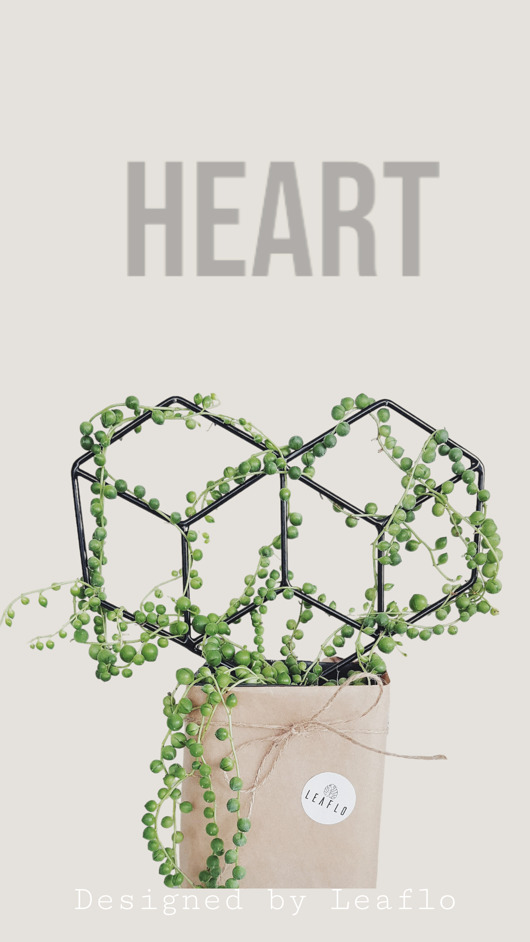 doniczki Podpórka do kwiatów Grow High Heart