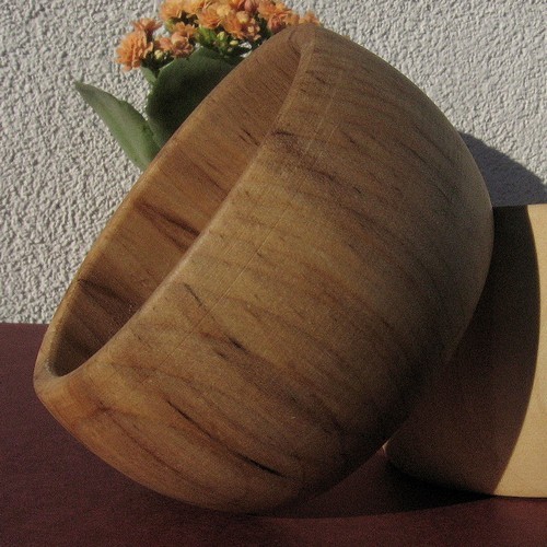 Podróż po słojach. Joanna Mikowska