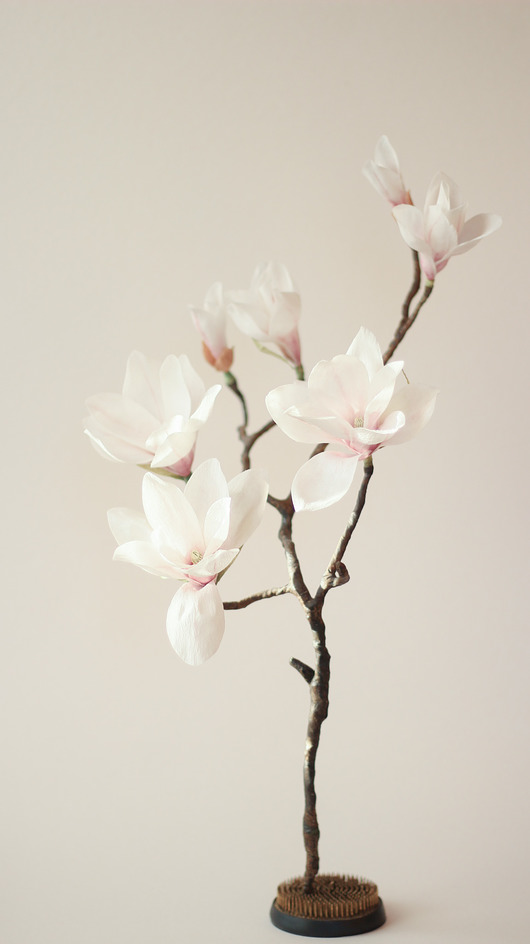 dodatki - różne Papierowa gałąź magnolii