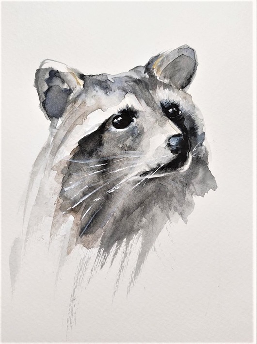 Akwarela Szop pracz Wiktoria Borys Art