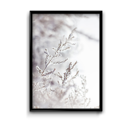 Plakat Frozen #2  Bury Lis