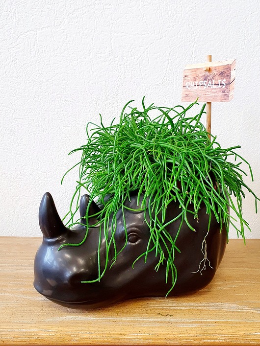 Doniczka osłonka Nosorożec 23cm czarna Home Design