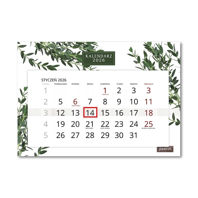 kalendarze i plannery Kalendarz Ścienny Pojedynczy 2026 Eukaliptus A4