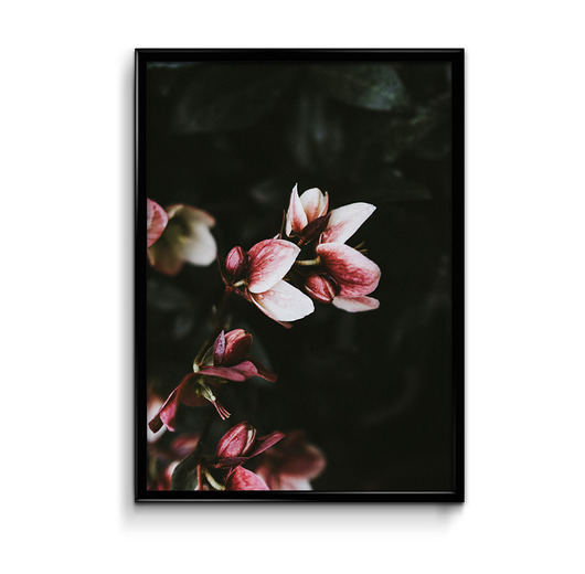 Kwiaty #3  plakat  Bury Lis