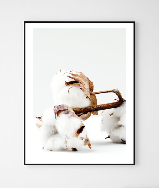 Plakat CLEAN/ Plant No.6 Szare Kropki