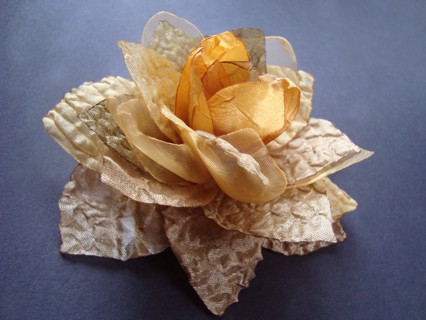 PERSITERA SundayRose