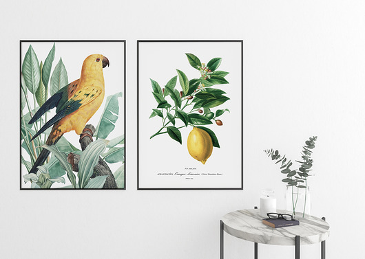 Zestaw plakatów - żółta papuga i cytryna HOG STUDIO