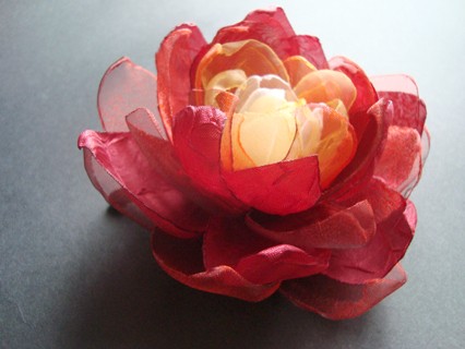 GORIA SundayRose
