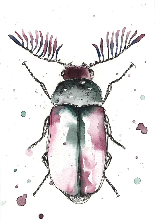 Kompozycja 5 ilustracji. Owady. JUST ILUST Justyna Małczak
