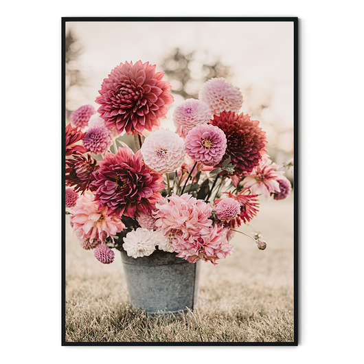 PROMOCJA Plakat botaniczny Dalie no. 3 myscandi