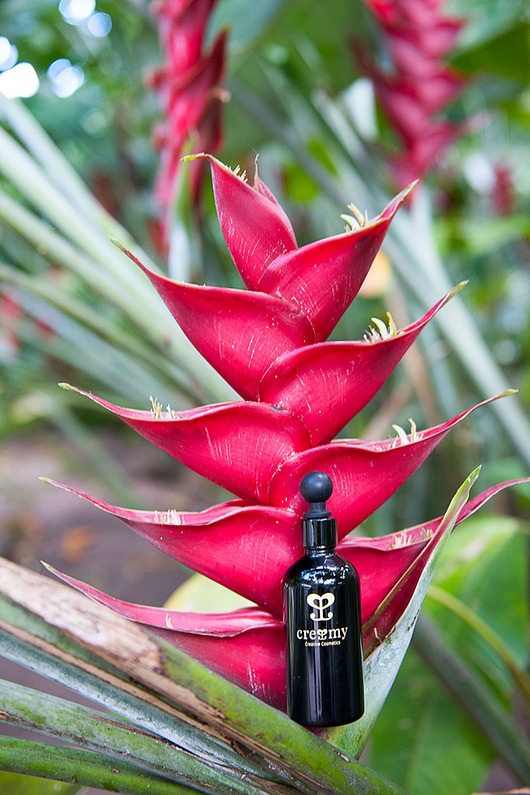 serum do twarzy Serum olejowe Ageless Opuntia anti-aging 30ml