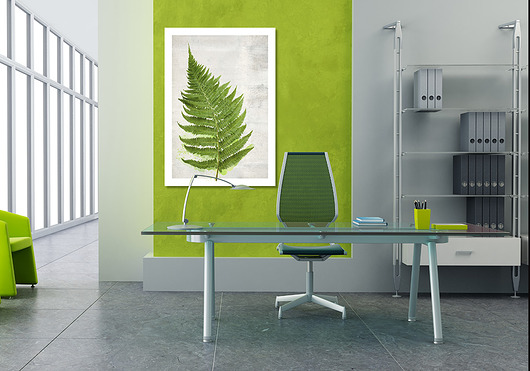 OBRAZ NA PŁÓTNIE -  70x100 PAPROĆ LUdesign gallery