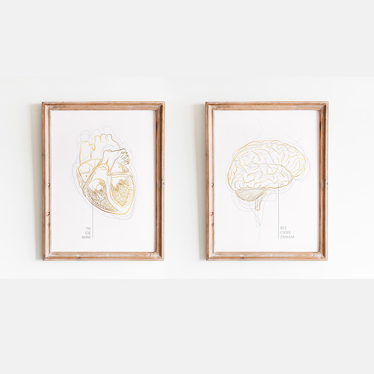 plakaty Plakat Złota Anatomia Serce & Mózg