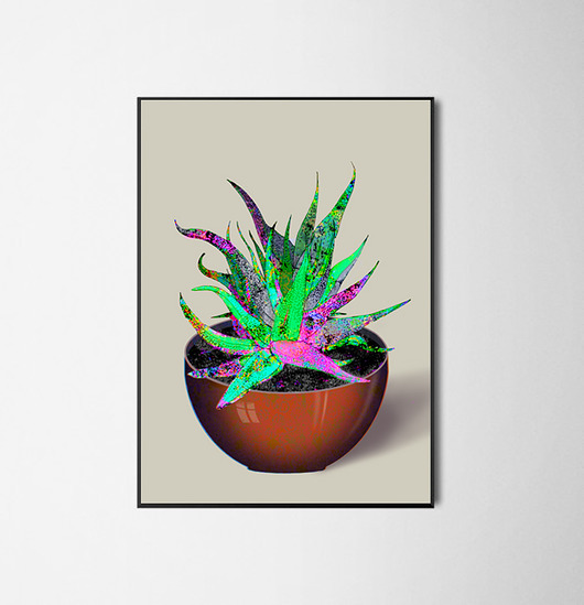 aloe vera 50x70 cm michal cygan
