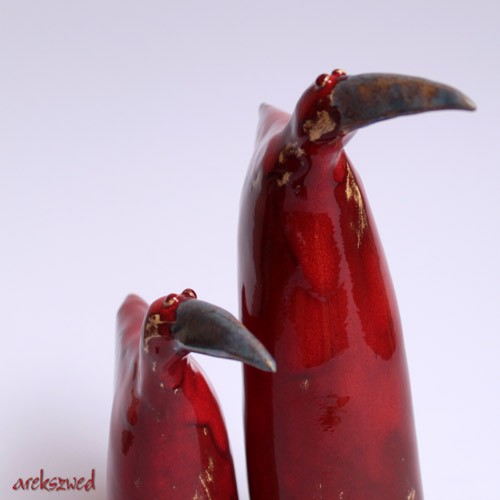 red&red Arek Szwed