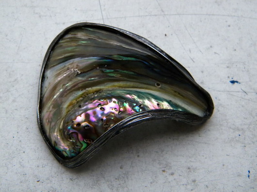 paua - wygiety płatek - broszka  Beata Trotter