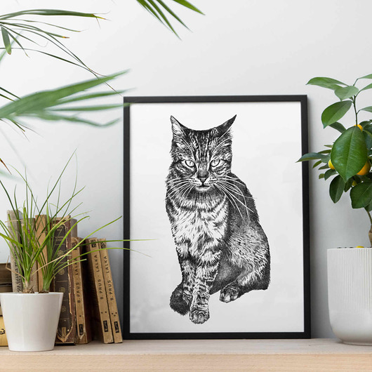 grafiki i ilustracje Kot