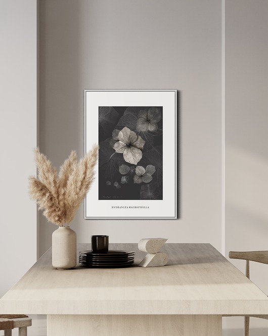 grafiki i ilustracje Hortensja, print { 50x70 cm }
