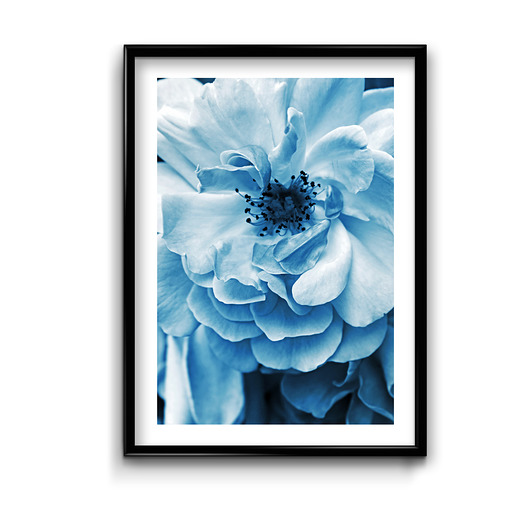 plakaty Plakat Blue Flower No.1