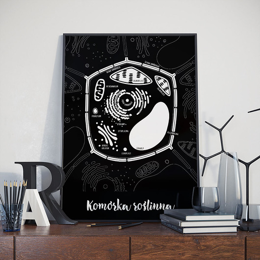 Plakat 30x40 cm - Komórka Roślinna Follygraph