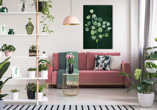 obrazy Obraz na płótnie ROŚLINA EUKALIPTUS 70x100cm