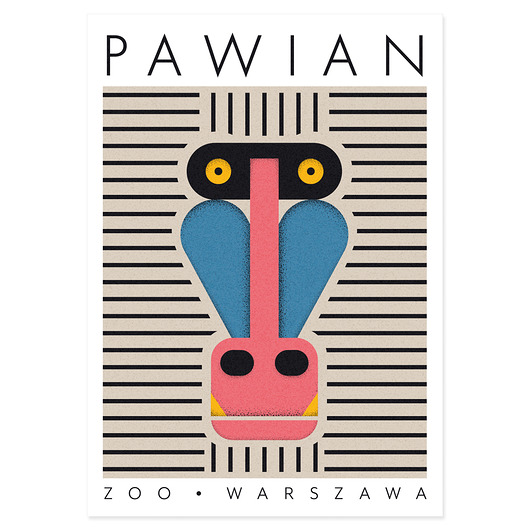 plakaty Plakat Pawian, Zoo Warszawa