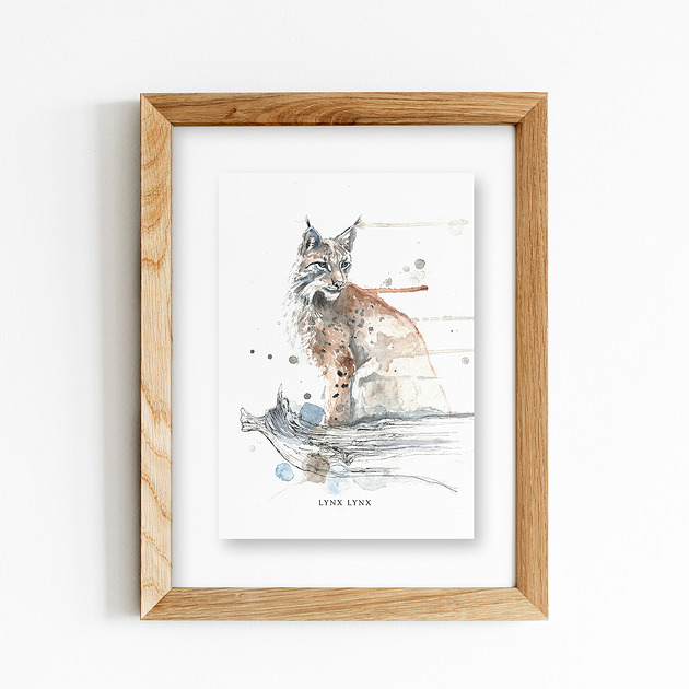 grafiki i ilustracje Ryś, A4