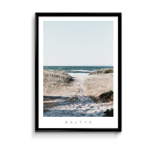 Plakat Bałtyk 1  Bury Lis