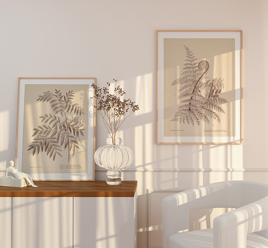 grafiki i ilustracje Zestaw ilustracji botanicznych A3