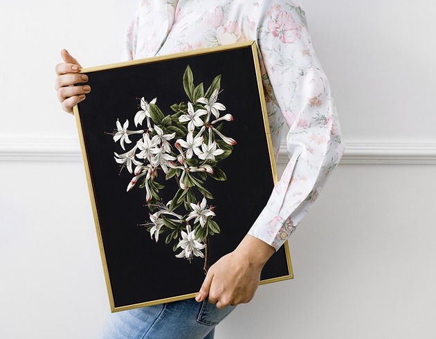 Plakat Black Flower HOG STUDIO
